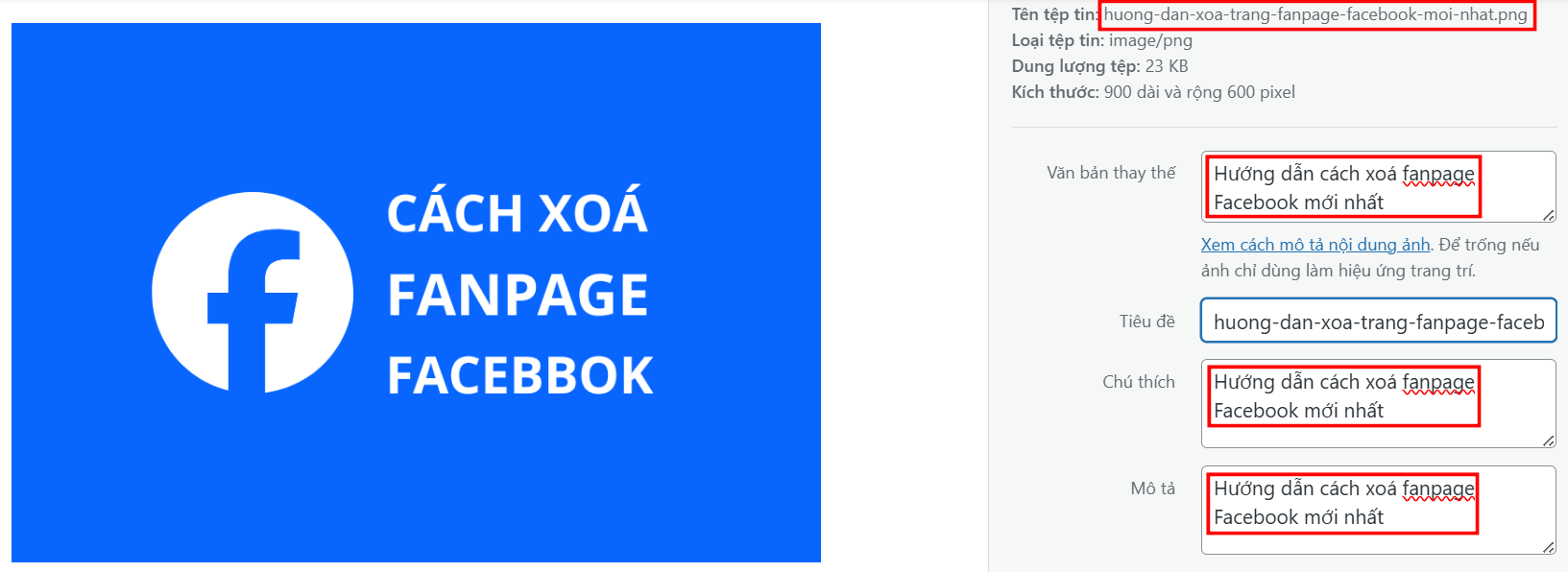 Đặt tên file hình ảnh chuẩn SEO Google