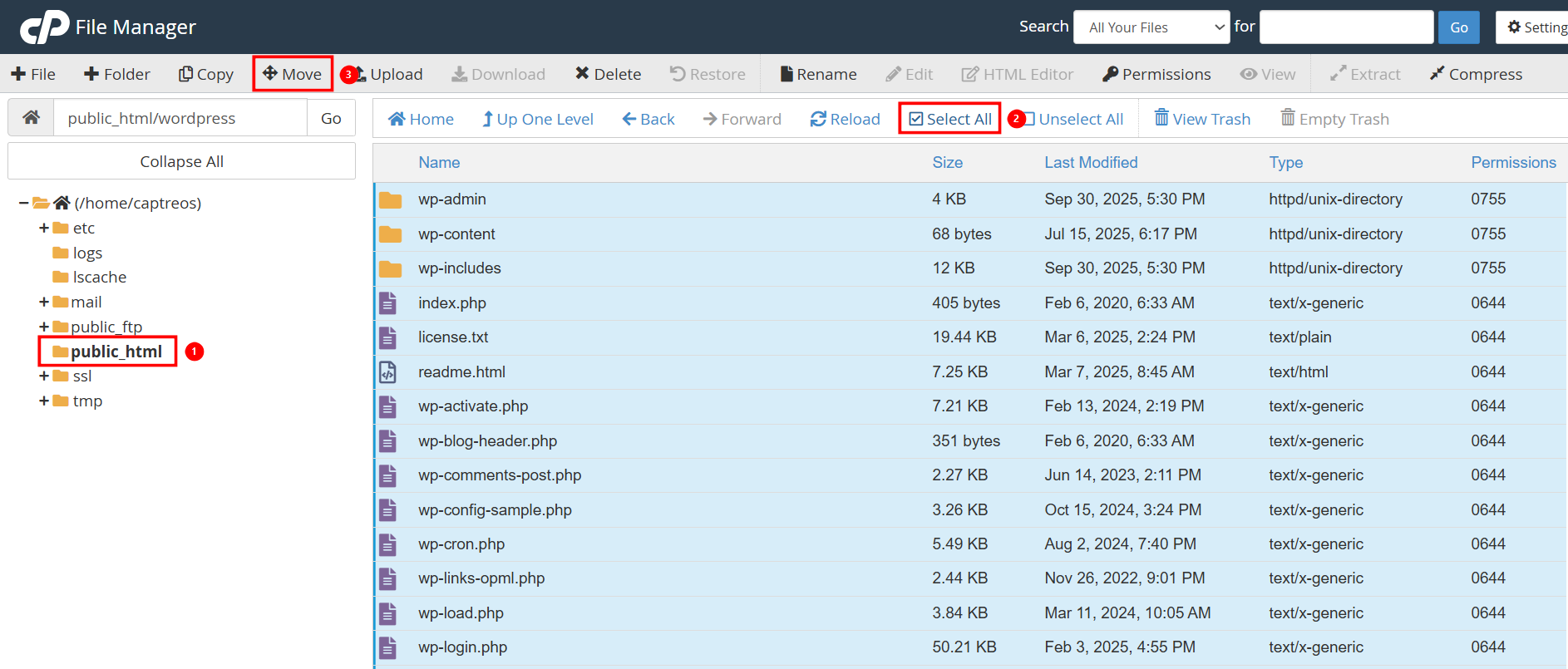 Di chuyển mã nguồn WordPress ra thư mục public_html