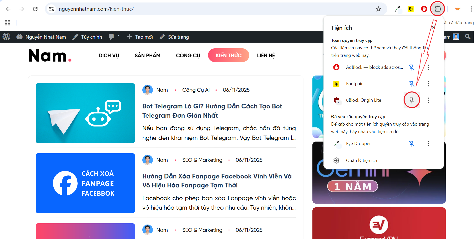 Hướng dẫn ghim Extension trên trình duyệt