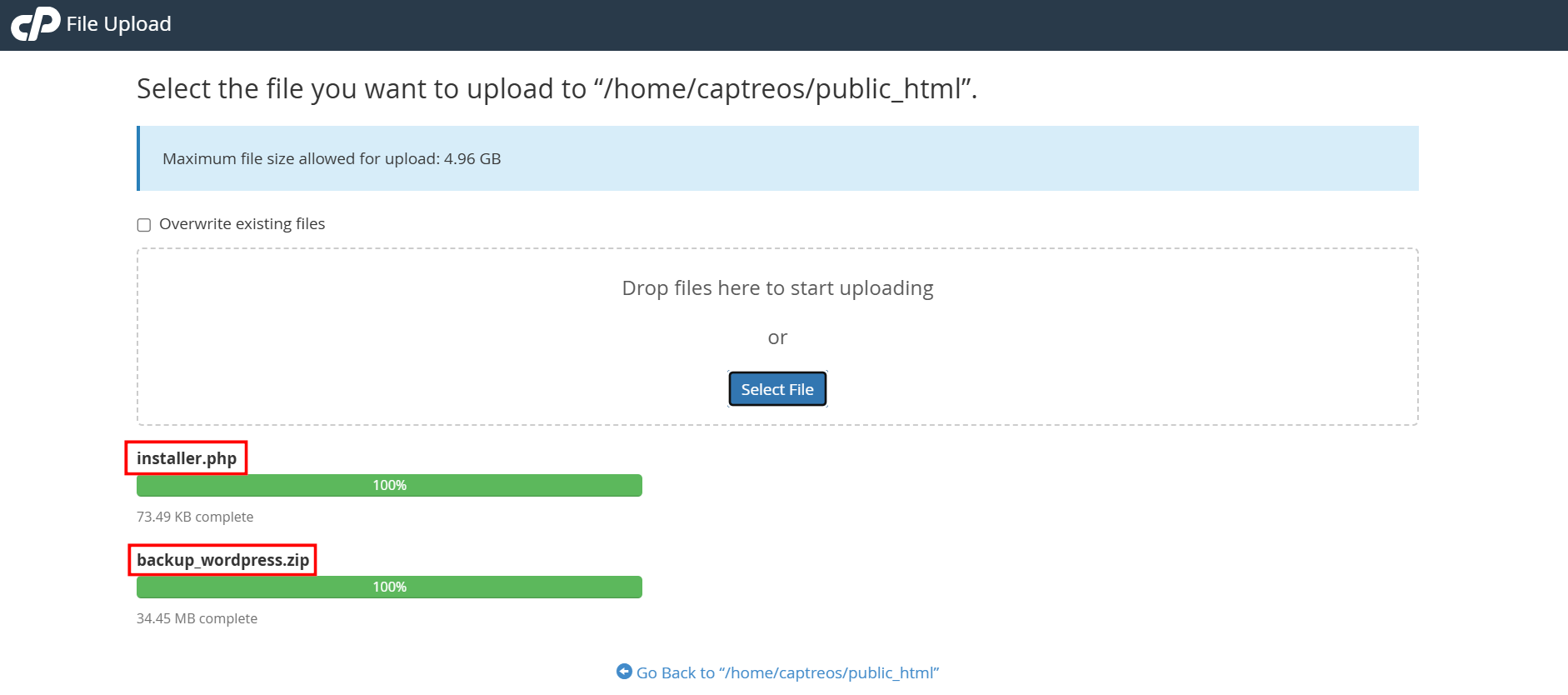 Truy cập cPanel > File Manager > Click Upload